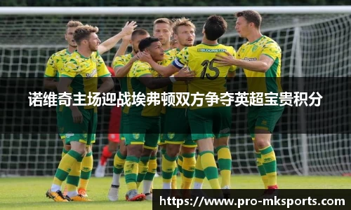 诺维奇主场迎战埃弗顿双方争夺英超宝贵积分